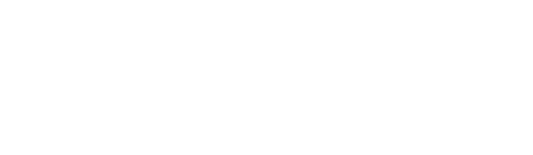 LP Express logo